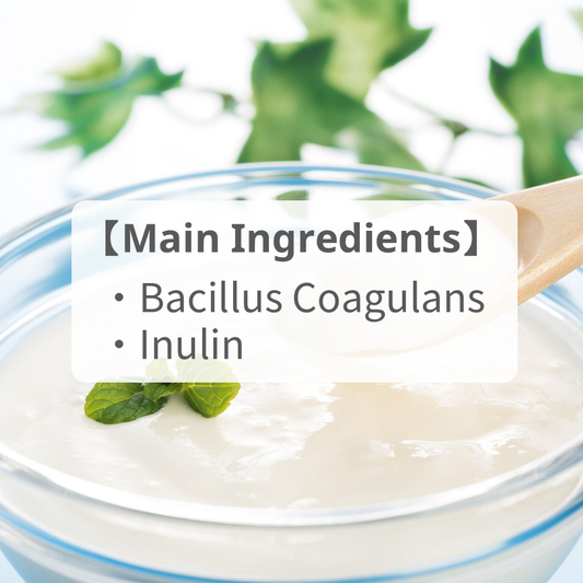 Lactobacillus that reach the intestines alive