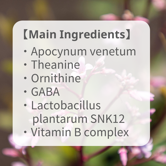 Sleep ingredient all-in-one [Apocynum venetum & Amino acids & Lactic acid bacteria]【high content】