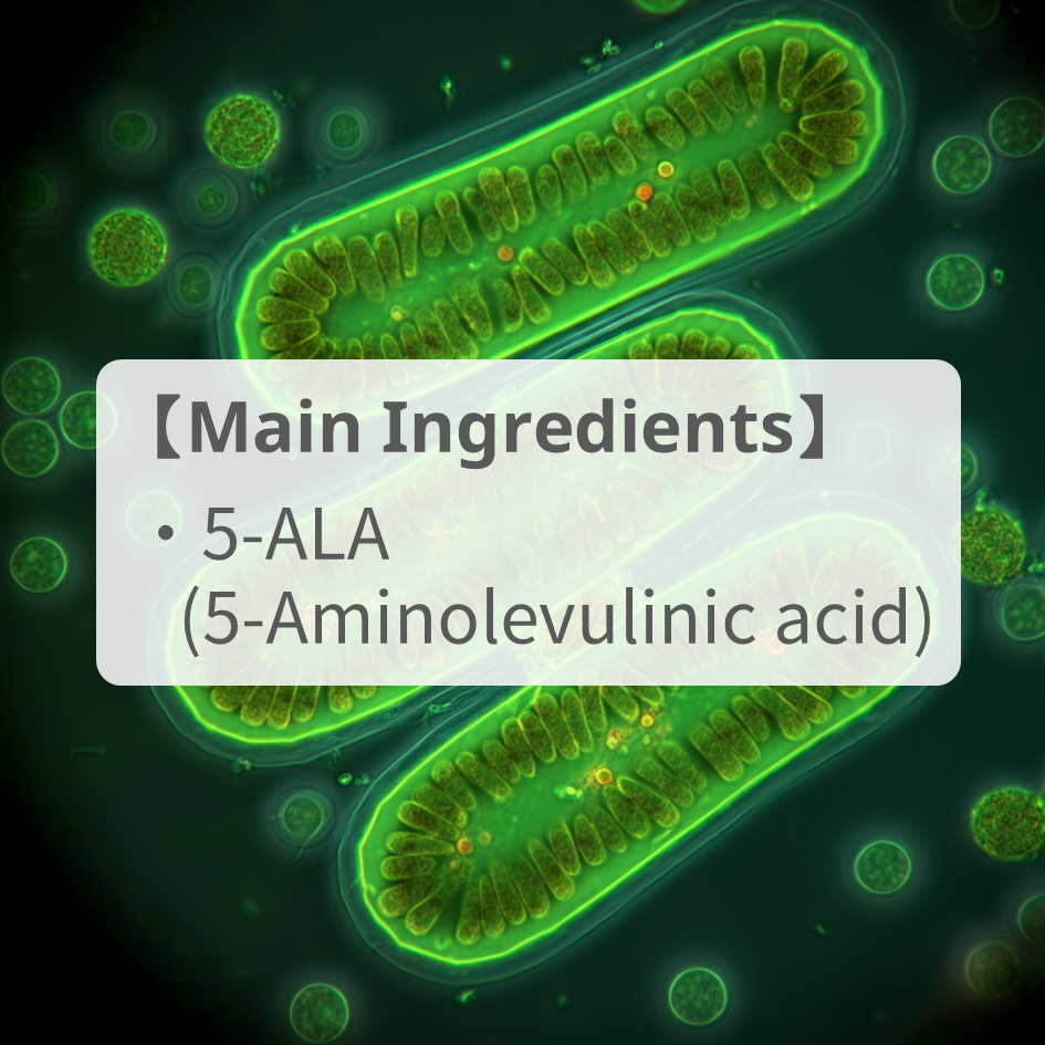 [5-ALA] the substance at the root of life